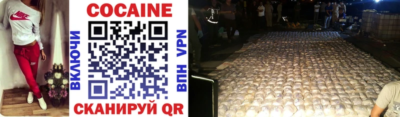 дарнет шоп  мега маркетплейс  Cocaine Fish Scale  Петровск-Забайкальский 
