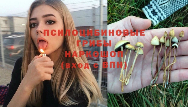 2c-b Алзамай