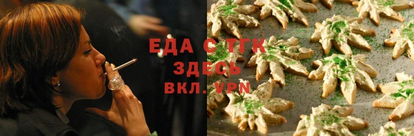 хмурый Пересвет