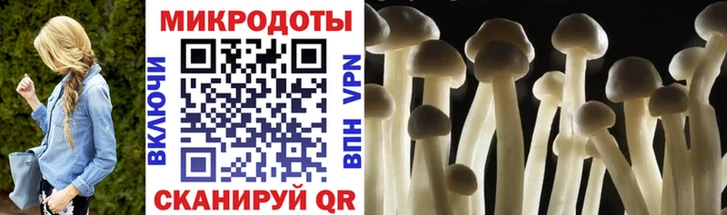 дарнет шоп  дарк нет наркотические препараты  Галлюциногенные грибы мицелий  Петровск-Забайкальский 